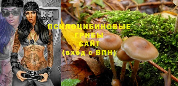 ALPHA PVP Алзамай