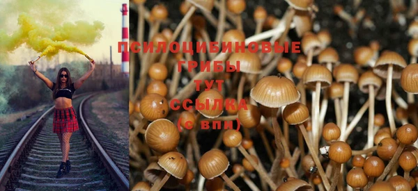ALPHA PVP Алзамай
