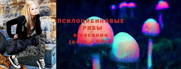 экстази Алексин