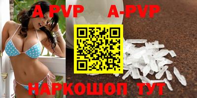 крисы Гай