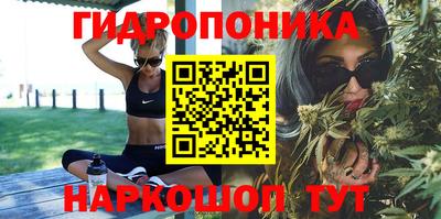 спиды Гагарин