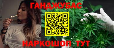 крисы Гай