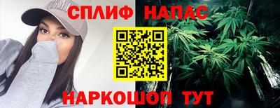 крисы Гай