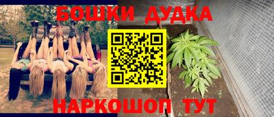 крисы Гай