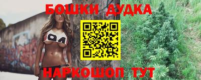 крисы Гай