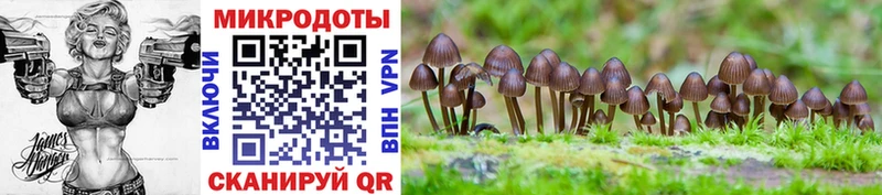 Галлюциногенные грибы мухоморы OMG зеркало darknet наркотические препараты Еманжелинск